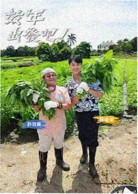 自拍归档字段说明配图